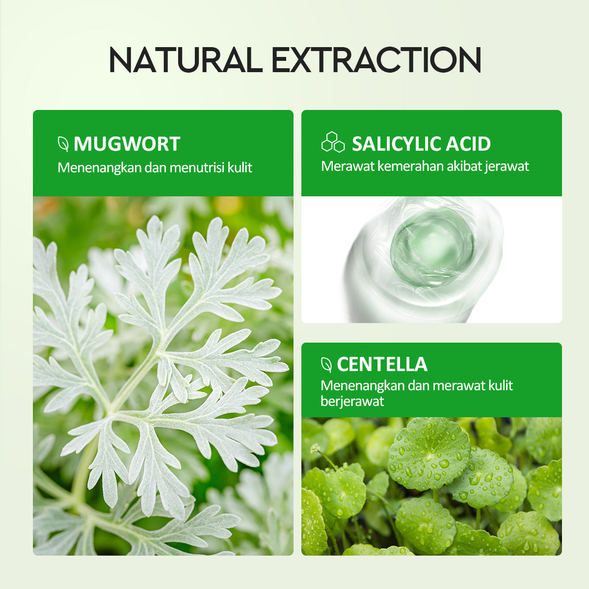 Mugwort Salicylic Acid Acne Clay Stick