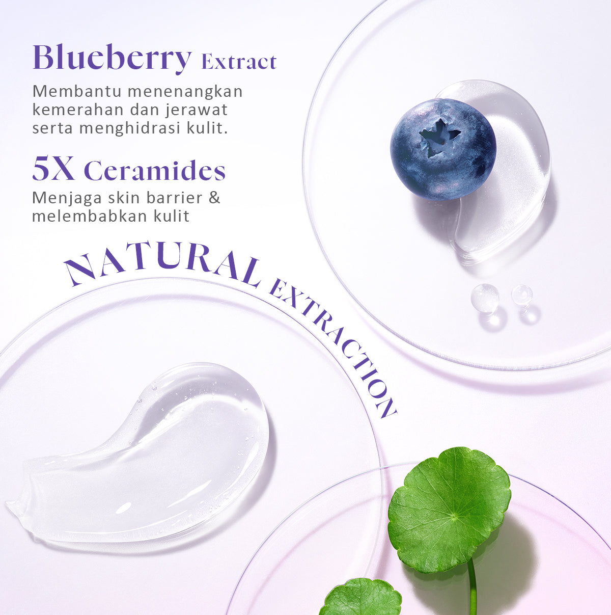 Glad2Glow Blueberry Ceramide Low pH Gel Cleanser