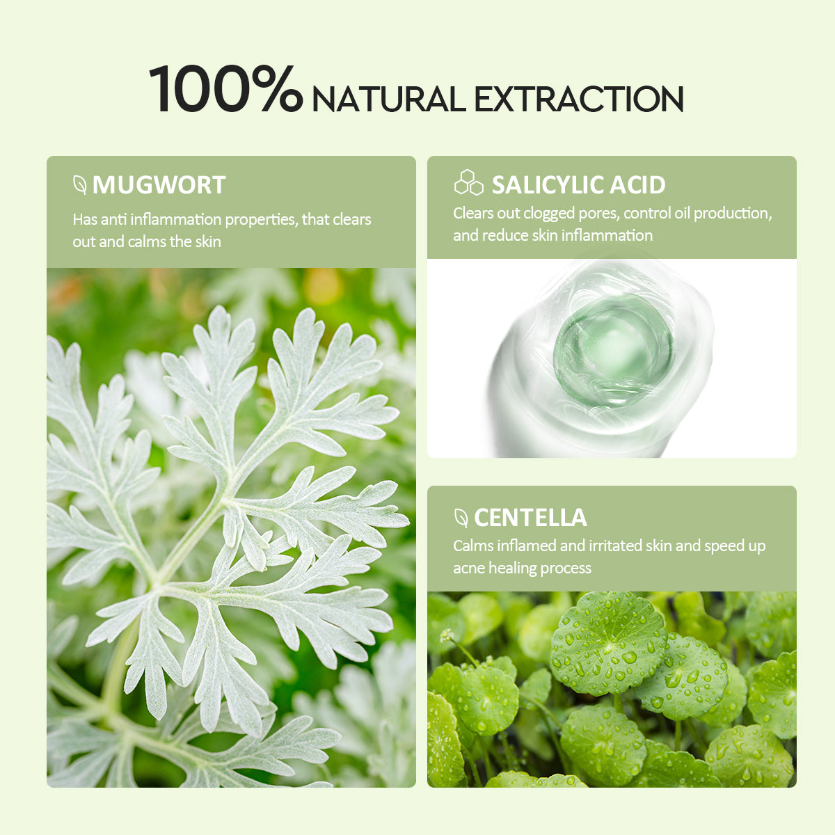 Glad2Glow Real Mugwort Salicylic Acid Acne Control Clay Mask